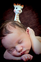 Newborns